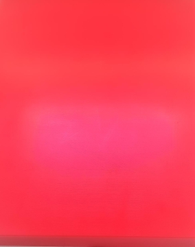 1x Schneidbrett45x40x4cm. aus Qualittskunststoff Rot