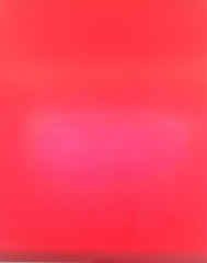 1x Schneidbrett45x40x4cm. aus Qualittskunststoff Rot